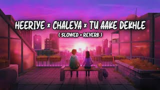 Heeriye × Chaleya × Tu Aake Dekhle  Mashup slowed  reverb  KB Vibes Jawan Jasleen RoyalKing [upl. by Pirri]