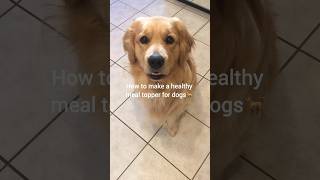 Healthy meal topper for dogs cutedogs Recipe for dog food meal topper dogfeeding dogdish ❤️🤩❤️ [upl. by Drofdarb]