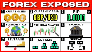 Forex Trading For Beginners FREE FULL COURSE [upl. by Gayleen]