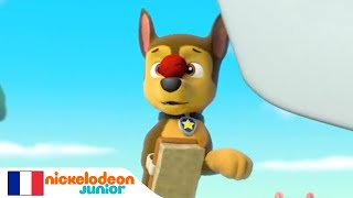 Paw Patrol  la PatPatrouille  Entre chiens et chats  NICKELODEON JUNIOR [upl. by Otsuj]