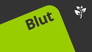 Aufbau und Funktion des Blutes  Blut Teil 1 [upl. by Sivle]