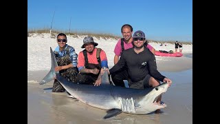 Texas Boys Take Over Florida Shark Fishing MAKO TIGERS SANDBARS [upl. by Arias]