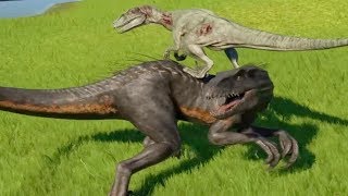 INDORAPTOR Vs VELOCIRAPTOR  Jurassic World Evolution [upl. by Atikehs]