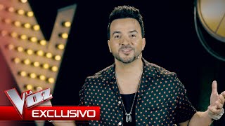 Luis Fonsi sufrirá este año  Exclusivo  La Voz Antena 3 2024 [upl. by Asseneg440]