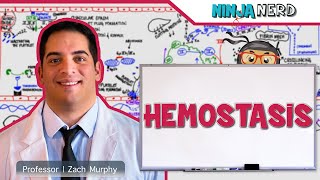 Hematology  Hemostasis Coagulation Cascade [upl. by Alyosha243]