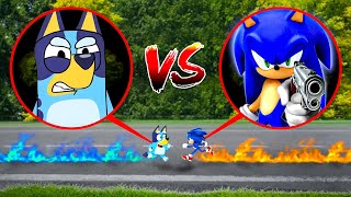 BLUEY FIGHTS SONIC THE HEDGEHOG IN REAL LIFE [upl. by Latnahs]