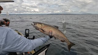 Puget Sound Chinook Fishing 7252024 [upl. by Ettennahs149]