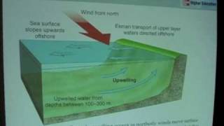 World Ocean Circulation  Upwelling [upl. by Ceevah809]