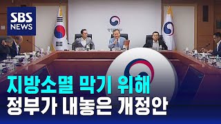 quot인구감소지역 주택 · 2자녀 자동차 취득세 감면quot  SBS [upl. by Lagas]