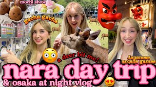 Japan travel vlog 2024🍡🦌 Nara Park Osaka temples gachaspon amp japanese arcades [upl. by Saw277]