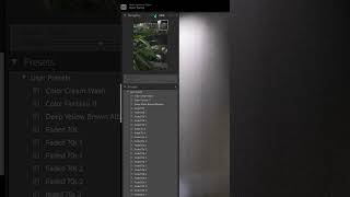 How to Zoom in Lightroom 4 Quick Methods [upl. by Ruperto]