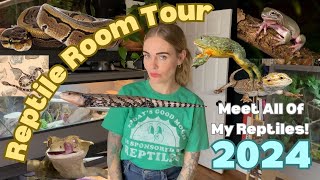 Reptile Room Tour 2024 Meet All Of My Reptiles [upl. by Wilburt]