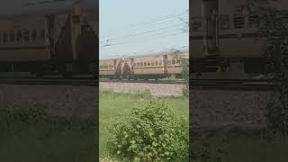 Trainviralvideo automobile trainline railway trainjourney traintravel [upl. by Foulk]