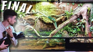 🌿XXL BASILISK PALUDARIUM  LEO MOVES IN  PART THREE  TERRAQUAMAN [upl. by Nylynnej]