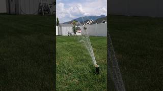 Irrigreen Sprinkler System 3Month Update ad irrigreensprinklers [upl. by Ivetts8]