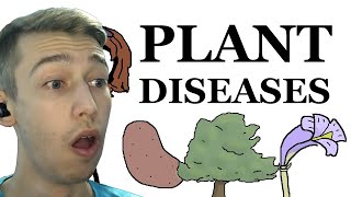 Plant Diseases  Sam ONella REACTION [upl. by Aramac651]