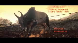 Jallikattu support teaser KABALI BGM [upl. by Ynamrej]