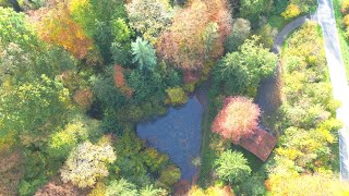 Mit der BMW 1200 GS im Spätherbst durch das Wiehengebirge und die Herbstfarben genießen [upl. by Kielty320]