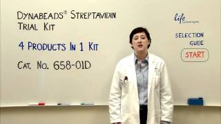 Dynabeads® Streptavidin Tial Kit  Product Presentation [upl. by Frasquito202]