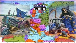 Ci vediamo a Bruxelles  Notizie Oggi Lineasera  Canale Italia [upl. by Yacano496]