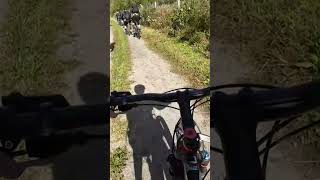 Winterberg 2024 mtb bikelife downhill fahrrad [upl. by Ribble975]