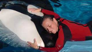 RIP Whale Trainer killed at SeaWorld Orlando  02242010 [upl. by Argile]