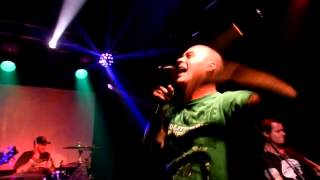 Tenafly Viper Reno Live at the Foundry 82412 [upl. by Tebazile798]