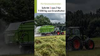 1 Schritt Wie auch du 7000 kg Milch aus dem Grundfutter melkst 1 von 7  grünland [upl. by Svensen]