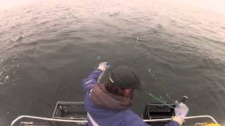 Opening Week Commercial Salmon Season 2013 [upl. by Arria]