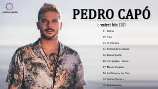 Pedro Capó  Mix Éxitos De 2021  Reggaeton Mix 2021 Lo Mas Nuevo En Éxitos  Álbum completo 2021 [upl. by Eelloh]