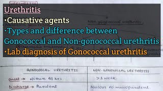 Urethritis  Causative agents  Gonococcal vs Nongonococcal urethritis  Gonococcal urethritis [upl. by Homere495]