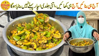 Aam Hari Mirch Nimbu Achar Recipe  Mix Achar Recipe In 10 Minutes  Achar Recipe Village Handi Roti [upl. by Ayifas]