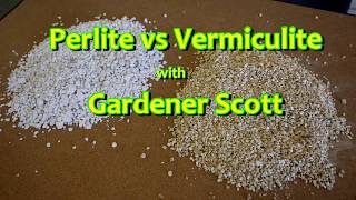 Perlite vs Vermiculite [upl. by Heppman]