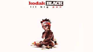 Kodak Black  Purp Prod By Jahfi AMT [upl. by Hamforrd]