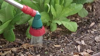 How to Water Your Garden  Learn How Often How Much and When to Water Flowers and Vegetables [upl. by Leodora]