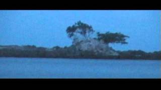 Snake island Port Blair  Andaman amp Nicobar Islands India [upl. by Onaicnop99]