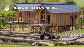 Dormez face aux ours noirs [upl. by Vilberg354]