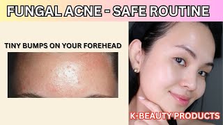 Fungal Acne Safe Korean Skin Care Routine 2024  Prevent tiny bumps on your forehead 🥰 [upl. by Rehtae]