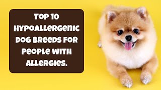 quotBreathe Easy with These 10 Hypoallergenic Dog Breeds 🐾✨ [upl. by Flossy]