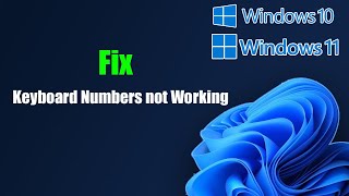 Fix Keyboard Numbers not Working Windows 1110 [upl. by Spitzer]