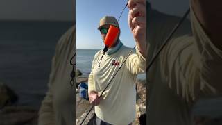 HOW TO use a POPPING CORK to catch TONS OF FISH shorts fishing [upl. by Atikim]