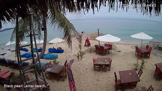 🐳 Live 247 🌴 Black pearl restaurant 🔴 Lamai  Koh Samui  Thailand  Live beach cam [upl. by Buke]