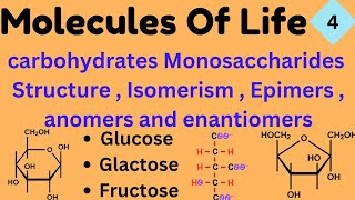 Carbohydrates  Classification Structure isomerism  Glucose Fructose Galactose  Molecules of life [upl. by Darin]