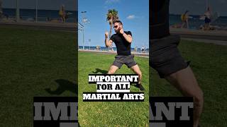 Important for all Martial Arts mma karate kyokushin shotokan martialarts shorts [upl. by Cirdahc]