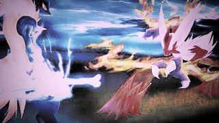 Mega RaidLUCARIO vs BLAZIKEN [upl. by Edwards]