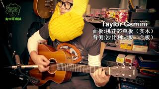 Martin DJR Sapele VS Taylor GS mini MAH [upl. by Korella]