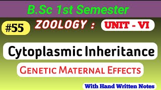 Cytoplasmic Inheritance  Genetic Maternal Effects  inheritance genetics geneticmaterial [upl. by Hairom]