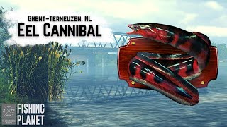 Eel Cannibal Monster  GhentTerneuzen Canal NL  Fishing Planet [upl. by Keeler]