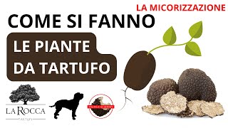 TARTUFO  Come si fanno le piantine MICORIZZATE [upl. by Otina77]