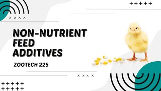 POULTRY 1  Poultry Nutrition NonNutrient Feed Additives  Module 207 Student Output [upl. by Esinal]